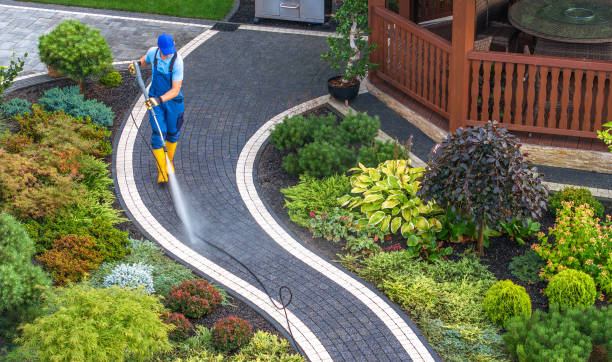 Best Roof Pressure Washing  in Rock Island, IL